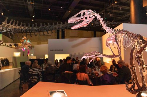 Great-Conversation-2025-314